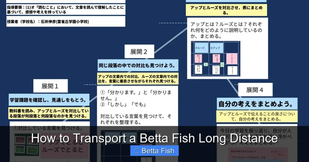 How to Transport a Betta Fish Long Distance