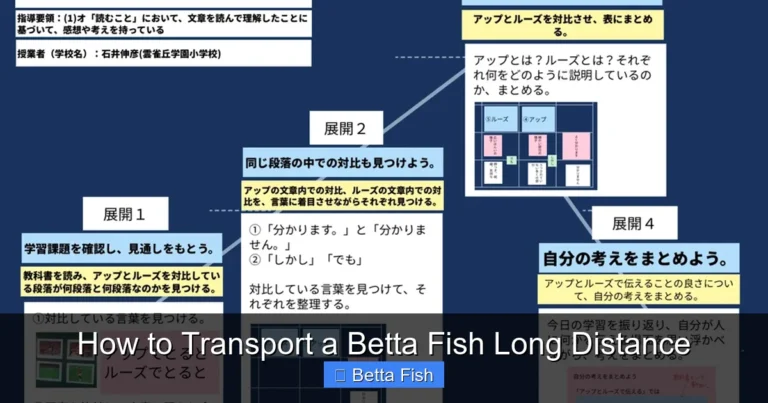 How to Transport a Betta Fish Long Distance