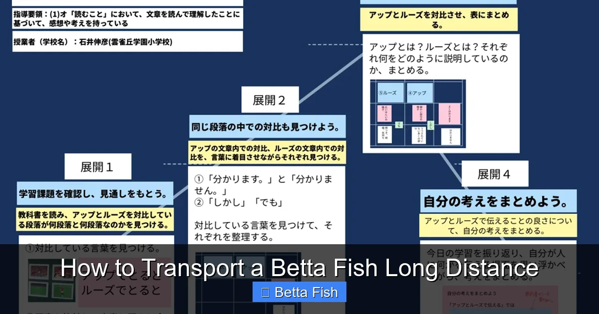 How to Transport a Betta Fish Long Distance
