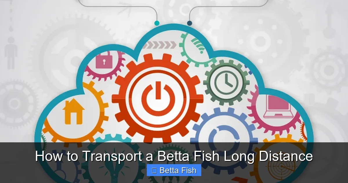 How to Transport a Betta Fish Long Distance