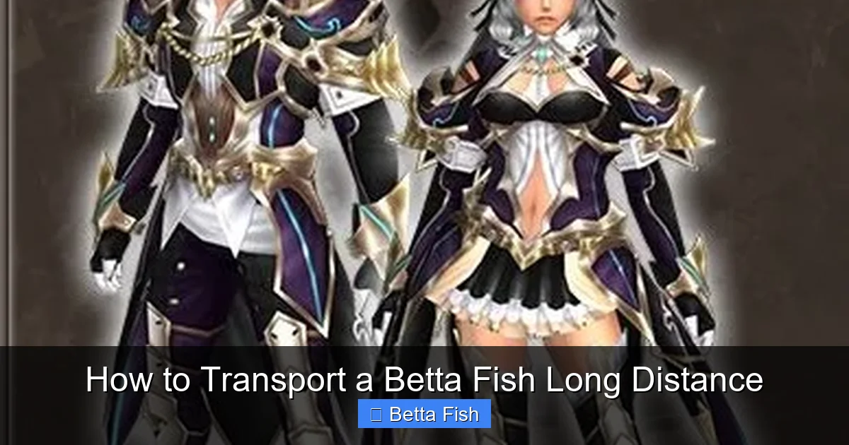 How to Transport a Betta Fish Long Distance