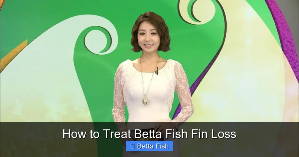 How to Treat Betta Fish Fin Loss
