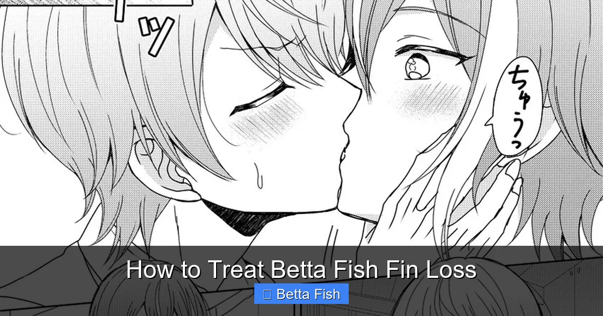 How to Treat Betta Fish Fin Loss