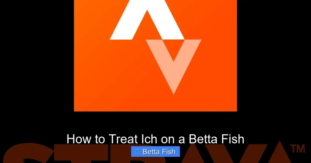 How to Treat Ich on a Betta Fish