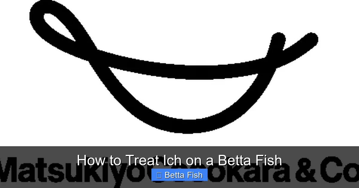 How to Treat Ich on a Betta Fish