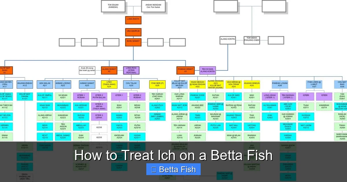 How to Treat Ich on a Betta Fish
