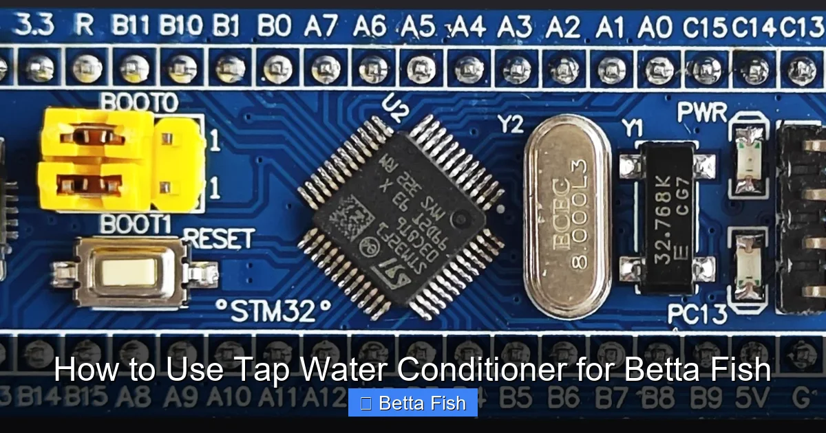 How to Use Tap Water Conditioner for Betta Fish