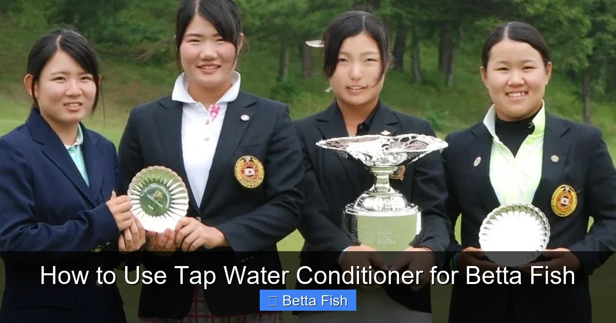 How to Use Tap Water Conditioner for Betta Fish
