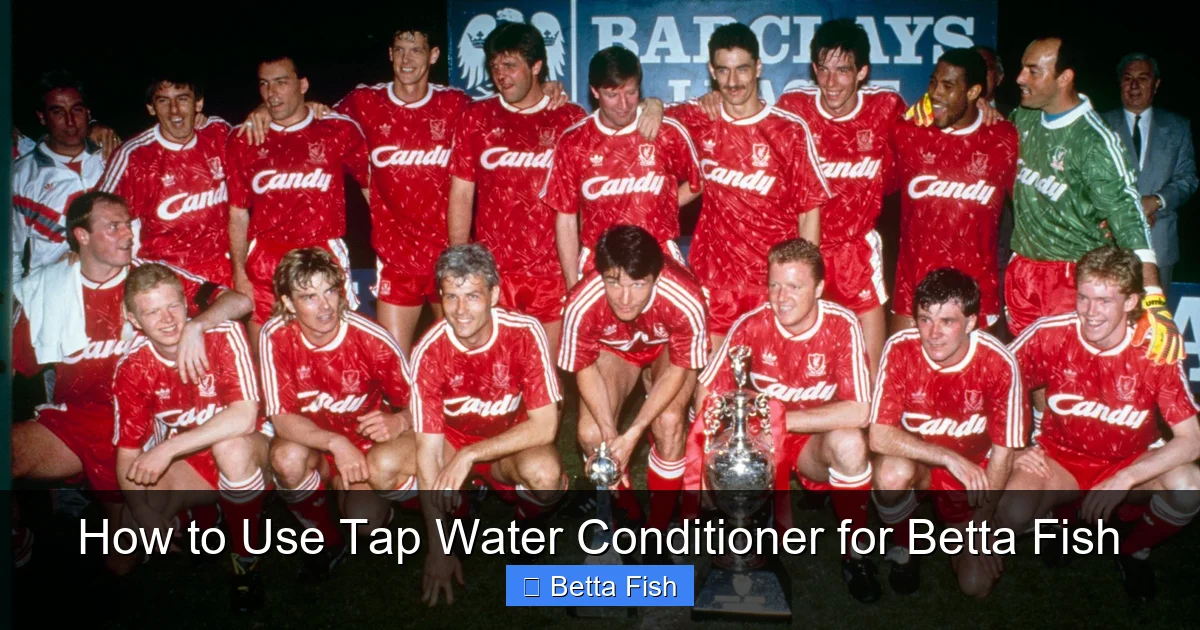 How to Use Tap Water Conditioner for Betta Fish
