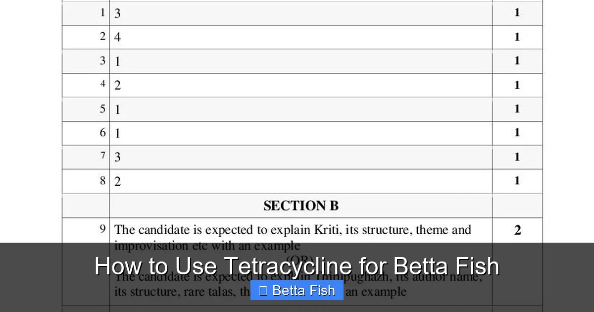 How to Use Tetracycline for Betta Fish