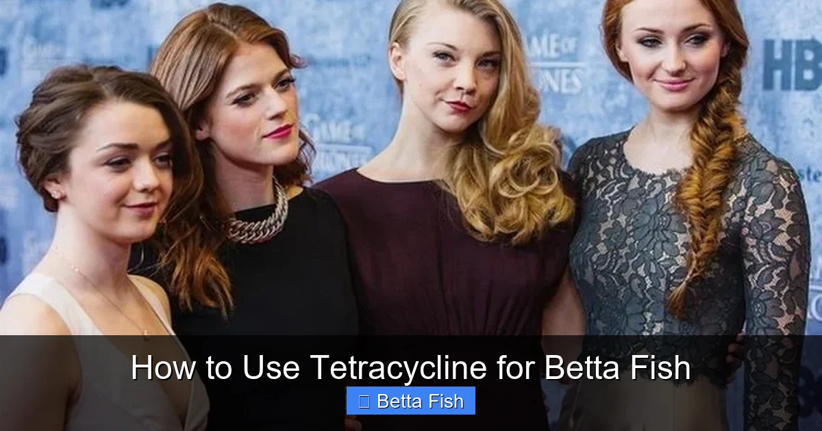 How to Use Tetracycline for Betta Fish