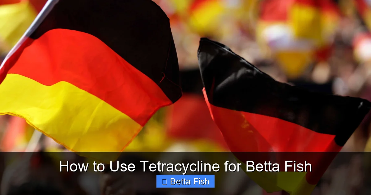 How to Use Tetracycline for Betta Fish