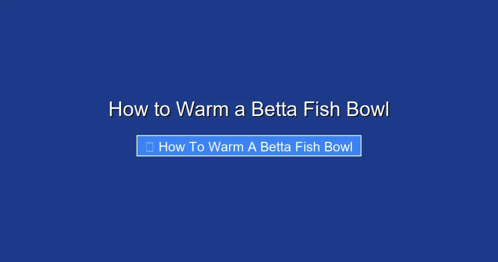 How to Warm a Betta Fish Bowl