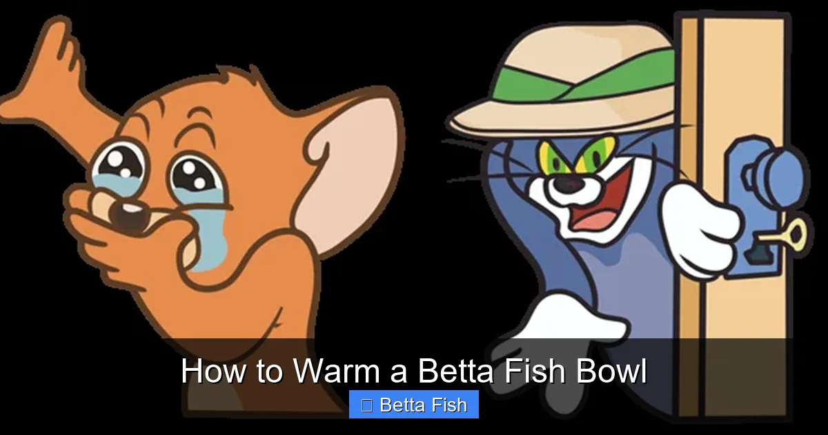 How to Warm a Betta Fish Bowl