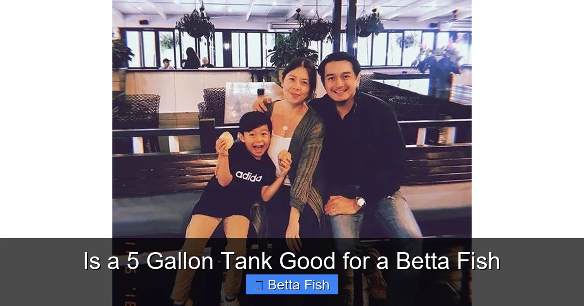 Is a 5 Gallon Tank Good for a Betta Fish
