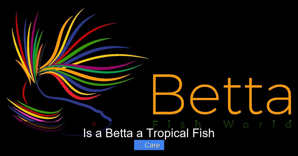 Is a Betta a Tropical Fish