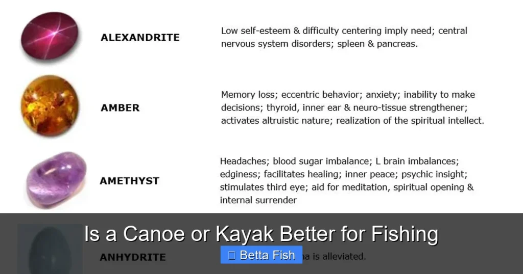 Is a Canoe or Kayak Better for Fishing
