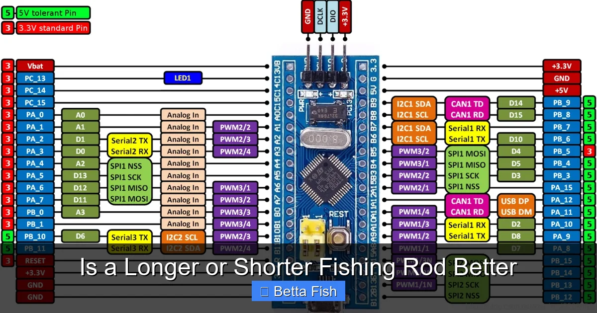 Is a Longer or Shorter Fishing Rod Better