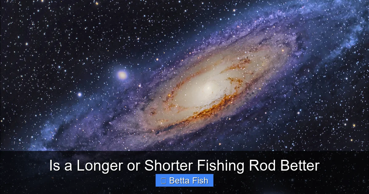 Is a Longer or Shorter Fishing Rod Better