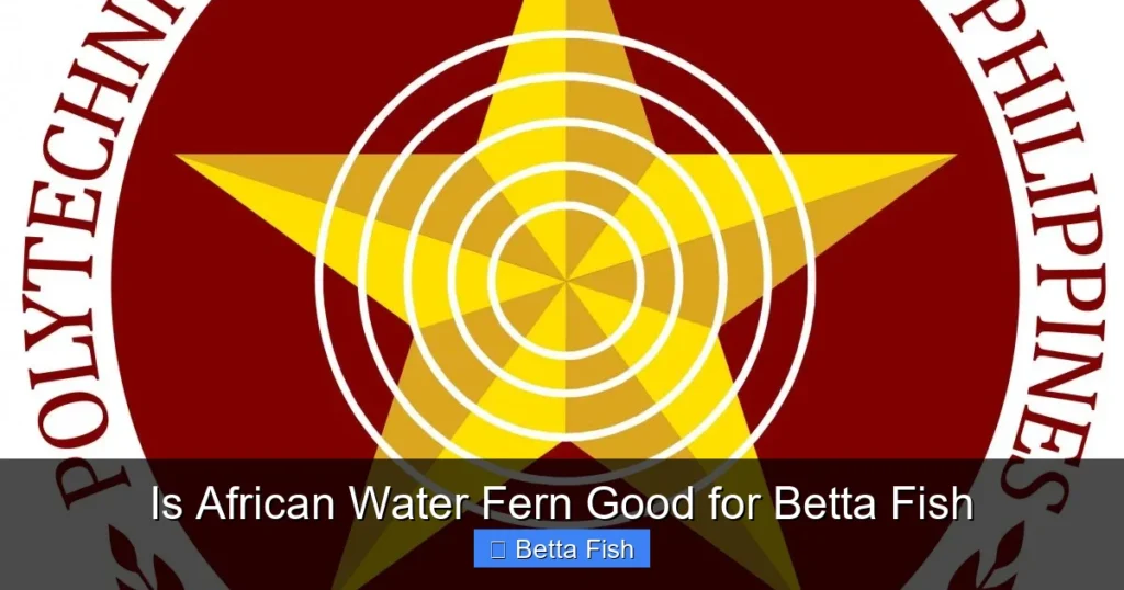 Is African Water Fern Good for Betta Fish
