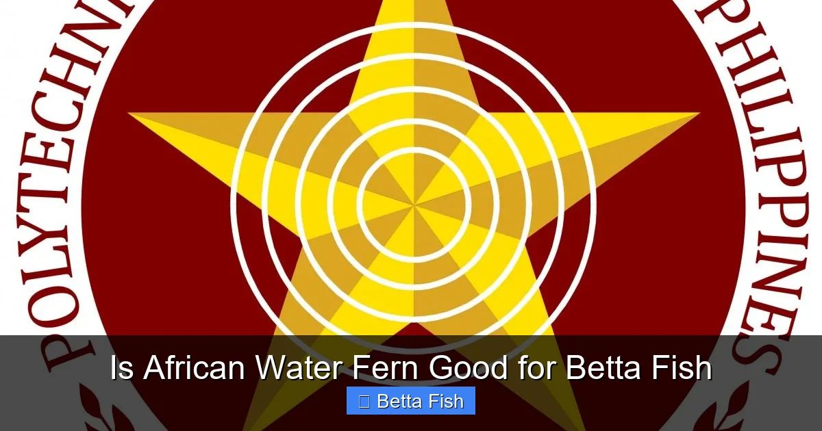 Is African Water Fern Good for Betta Fish