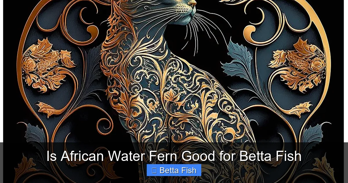 Is African Water Fern Good for Betta Fish