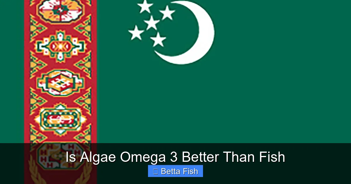 Is Algae Omega 3 Better Than Fish