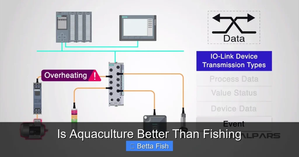 Is Aquaculture Better Than Fishing
