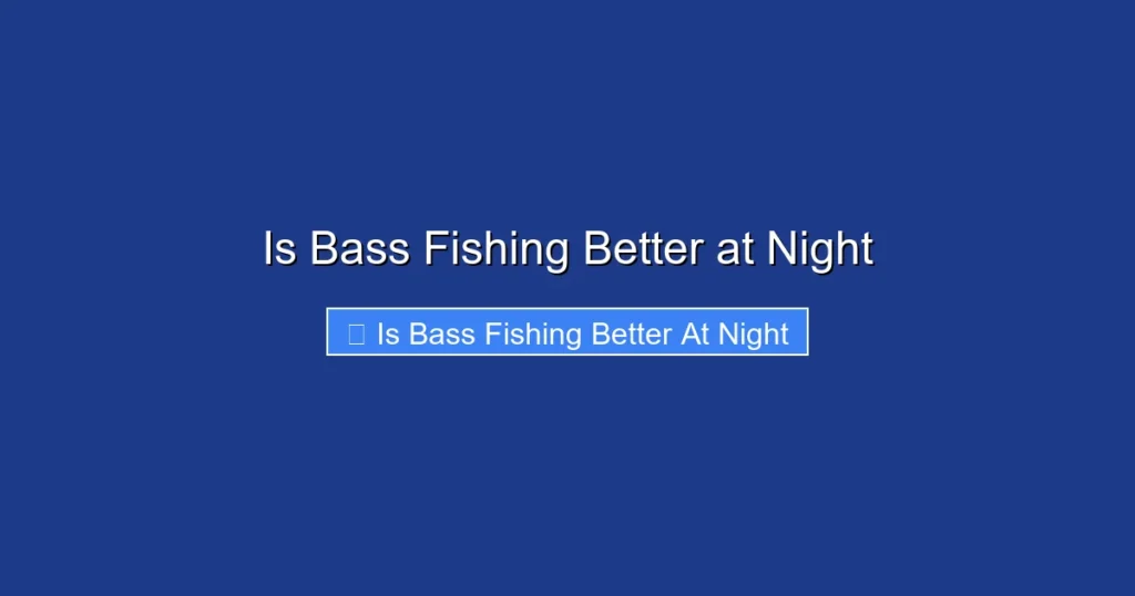 Is Bass Fishing Better at Night