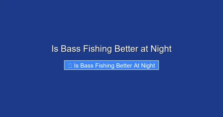 Is Bass Fishing Better at Night