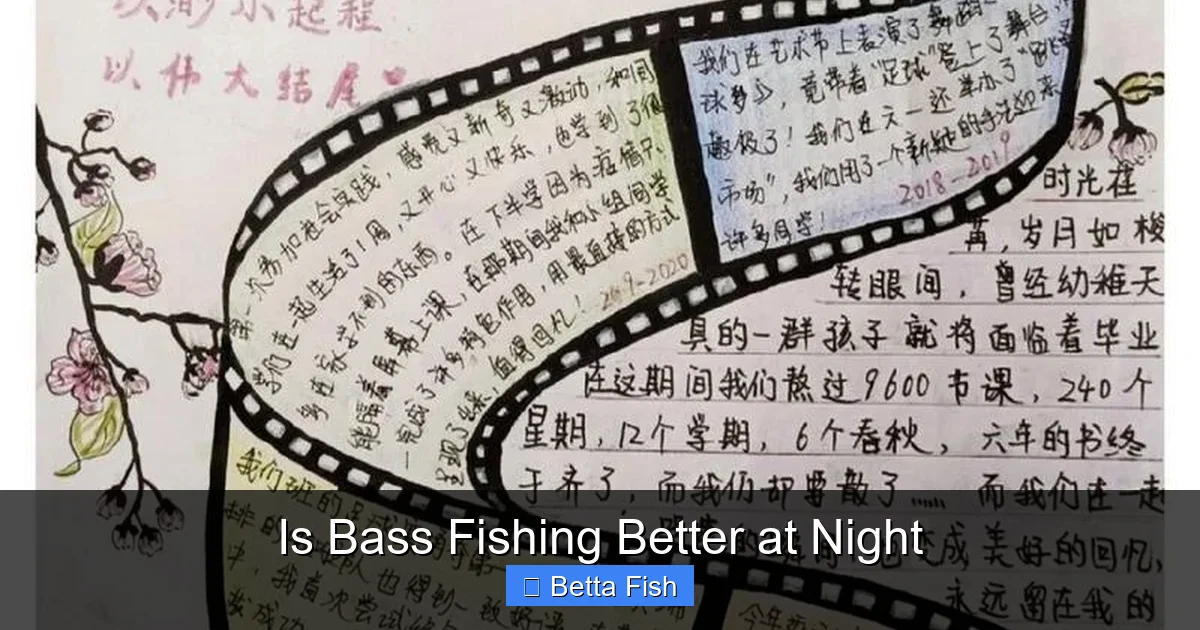 Is Bass Fishing Better at Night