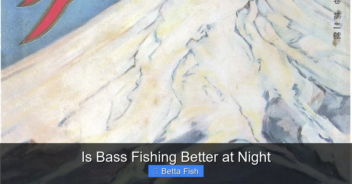 Is Bass Fishing Better at Night