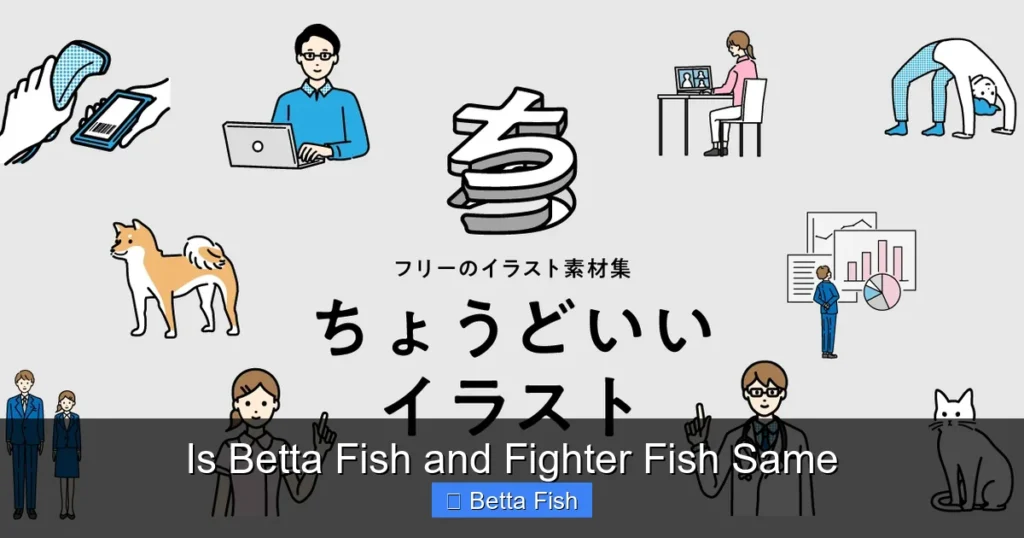 Is Betta Fish and Fighter Fish Same
