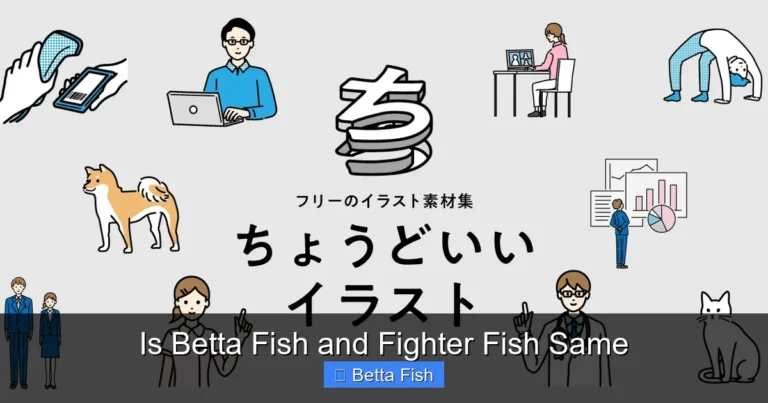 Is Betta Fish and Fighter Fish Same