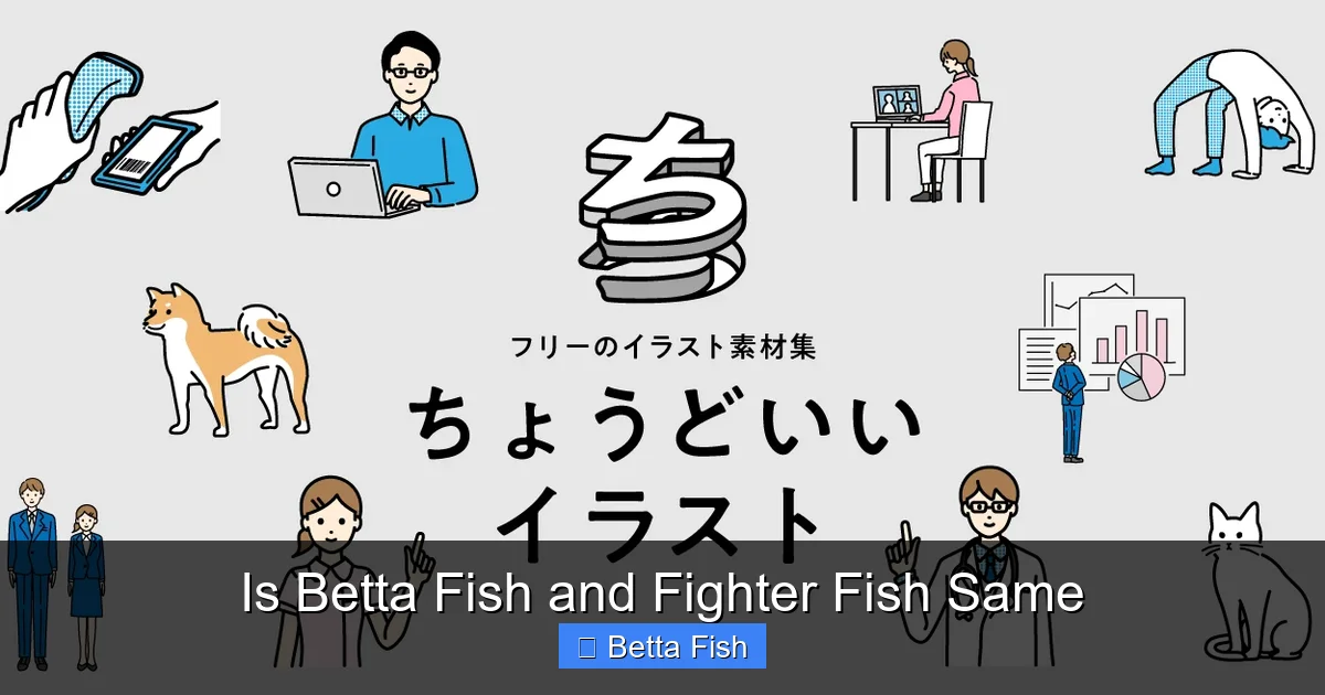 Is Betta Fish and Fighter Fish Same