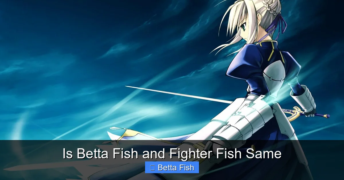 Is Betta Fish and Fighter Fish Same