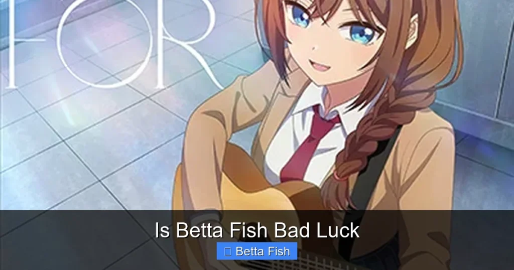 Is Betta Fish Bad Luck