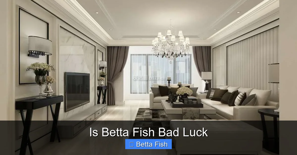 Is Betta Fish Bad Luck