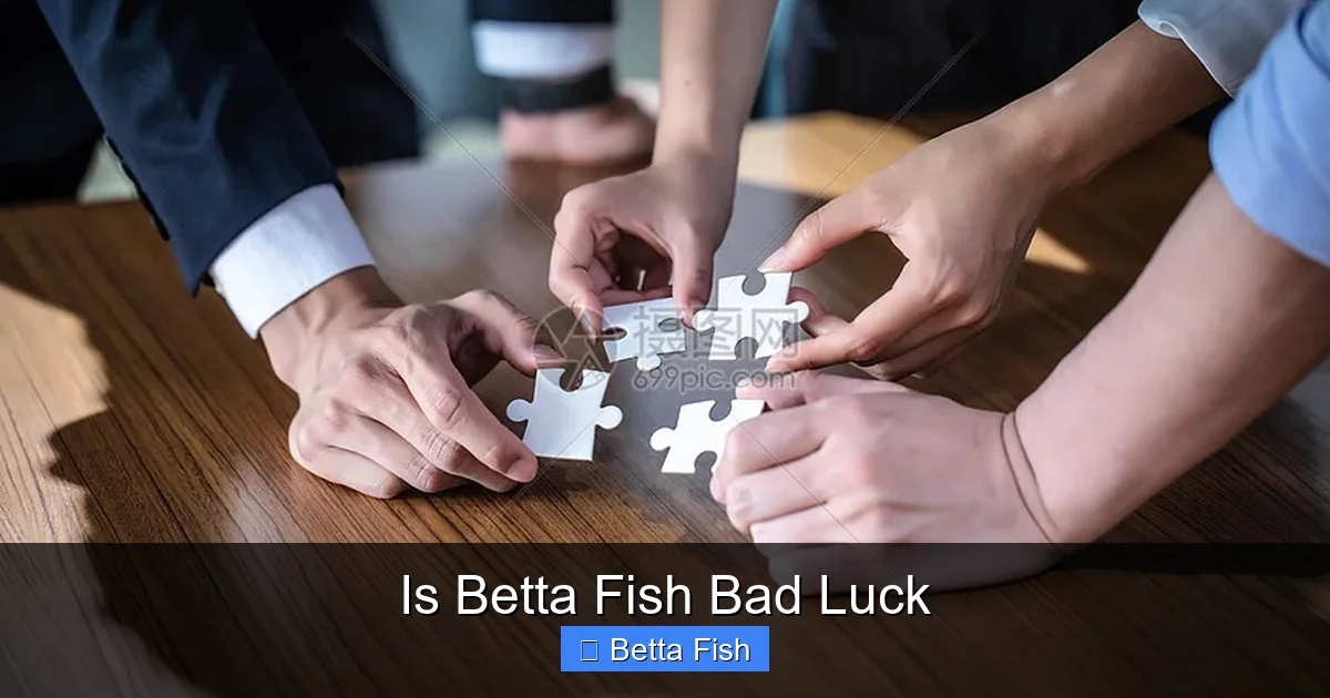 Is Betta Fish Bad Luck
