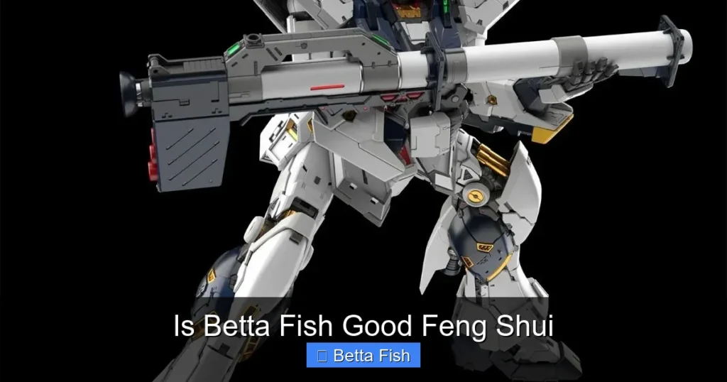 Is Betta Fish Good Feng Shui