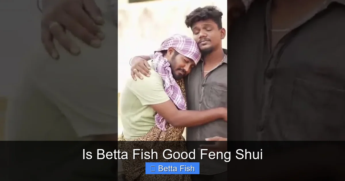 Is Betta Fish Good Feng Shui
