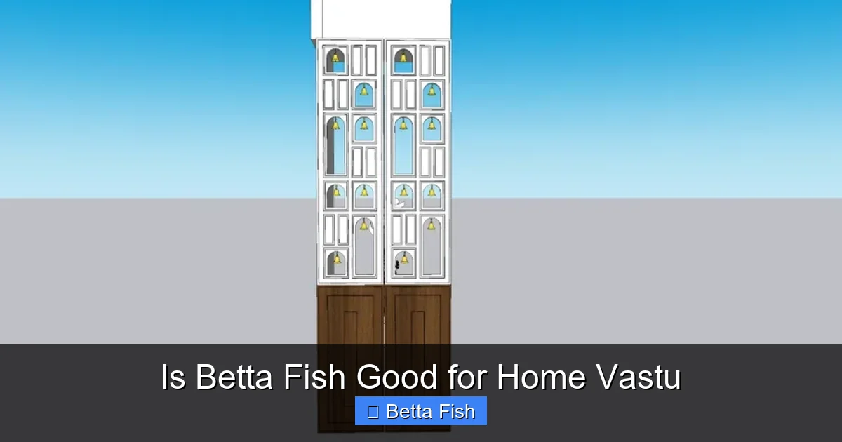 Is Betta Fish Good for Home Vastu