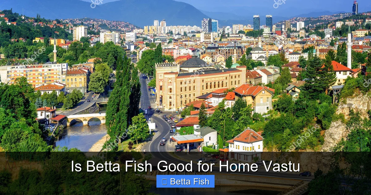 Is Betta Fish Good for Home Vastu