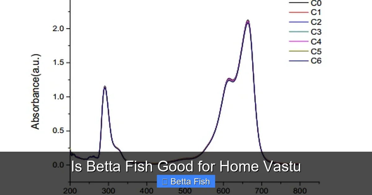 Is Betta Fish Good for Home Vastu