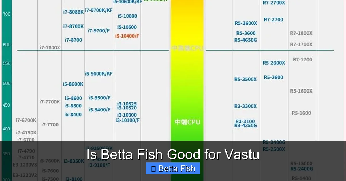 Is Betta Fish Good for Vastu