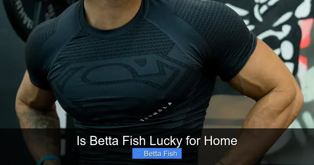 Is Betta Fish Lucky for Home