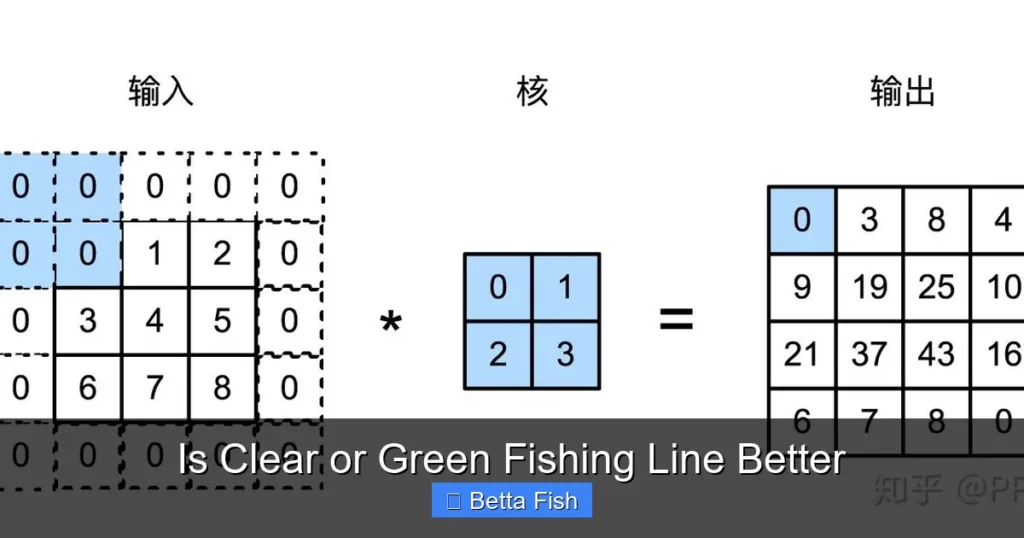 Is Clear or Green Fishing Line Better