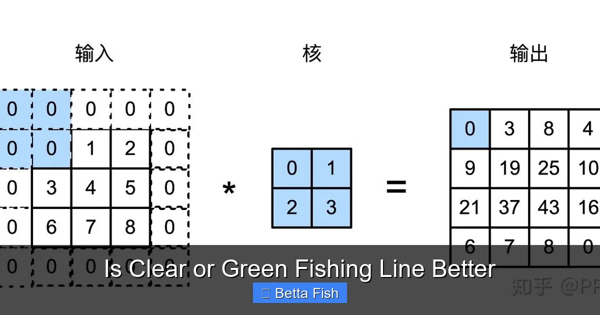 Is Clear or Green Fishing Line Better