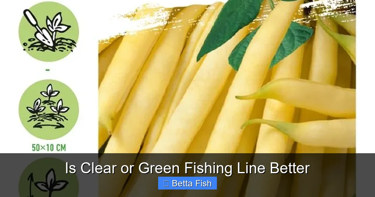 Is Clear or Green Fishing Line Better