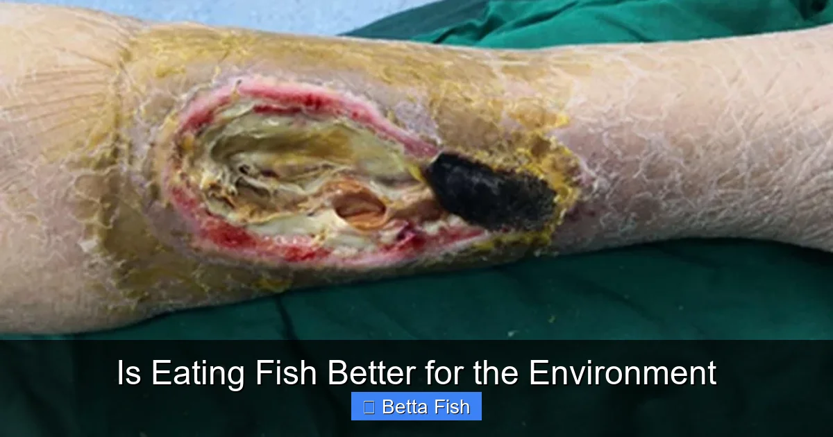 Is Eating Fish Better for the Environment
